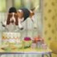 STX44703 Cake Central Cake Decorator Profile