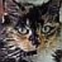 likitiki Cake Central Cake Decorator Profile