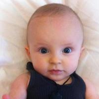 Cake Decorator polly1949