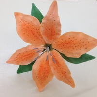 parkerhouse94 Cake Central Cake Decorator Profile