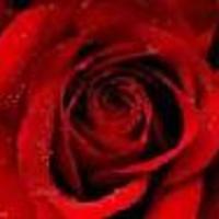 Rose-Lynn Cake Central Cake Decorator Profile