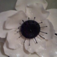 Cake Decorator KKakes9194