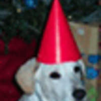 SaraM Cake Central Cake Decorator Profile