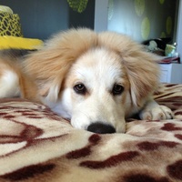 TheFabMissB Cake Central Cake Decorator Profile