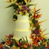 afterdinnerthoughts  Cake Central Cake Decorator Profile