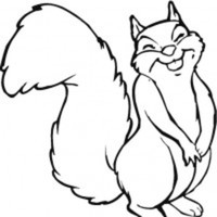 Cake Decorator NutsAboutCake