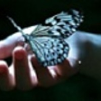 Cake Decorator cyndiK