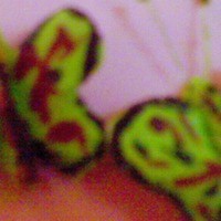 Cake Decorator afiata