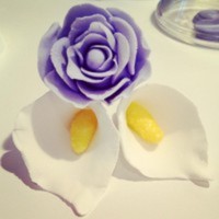 Cake Decorator flutterby1