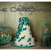 Cake Decorator The Cakechaser