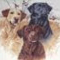 tammylenz Cake Central Cake Decorator Profile