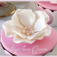 Cake Decorator Nicky Lamprinou