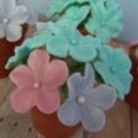 Cake Decorator onlymadaresane