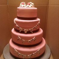 Cake Decorator JanaQ