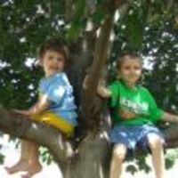 zoboo2 Cake Central Cake Decorator Profile