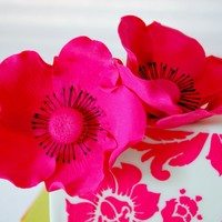 Cake Decorator loopooh