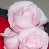 Cake Decorator faefolkbakery