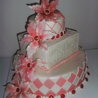 Cake Decorator aide27