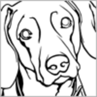 tripleE Cake Central Cake Decorator Profile