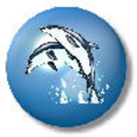 Cake Decorator nmartin7