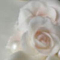 IsaSW Cake Central Cake Decorator Profile