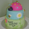 Karissa13 Cake Central Cake Decorator Profile