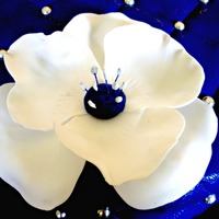 Cake Decorator Marisol22