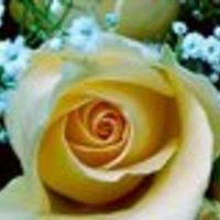 analia71 Cake Central Cake Decorator Profile