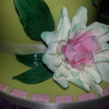 Miscath Cake Central Cake Decorator Profile