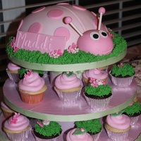 Cake Decorator klhoward42