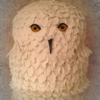 Cake Decorator goehipped