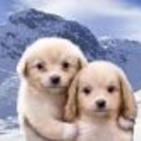 isista Cake Central Cake Decorator Profile