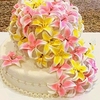 feelslikesilk Cake Central Cake Decorator Profile