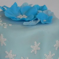 Cake Decorator Carien