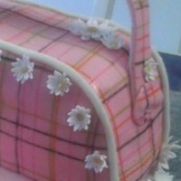 Cake Decorator ctirella