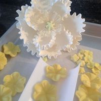 cakesbymt Cake Central Cake Decorator Profile