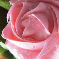 Cake Decorator kiyse22