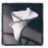 2rsws Cake Central Cake Decorator Profile