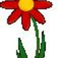 CakeSoley Cake Central Cake Decorator Profile