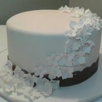 Cake Decorator twiceasnice