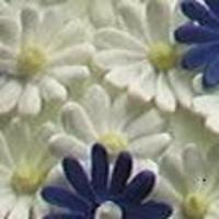 Cake Decorator guerrosos