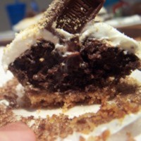 Cake Decorator AlenaPana