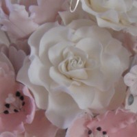 Cake Decorator Vearginia