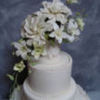 JenniferMI Cake Central Cake Decorator Profile