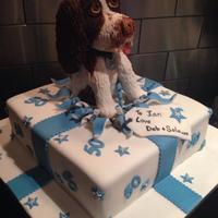 Cake Decorator JNCake