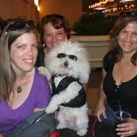 Cake Decorator suedefringe