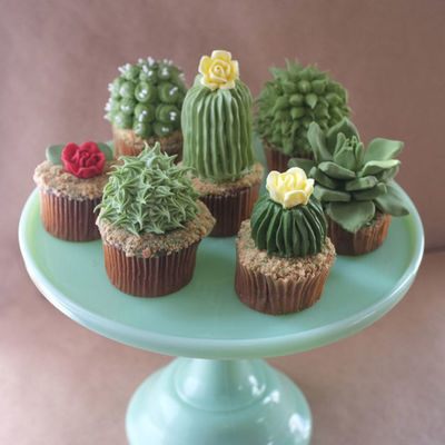 Friday Faves: Dragons, Succulents and Gnomes on Cake Central