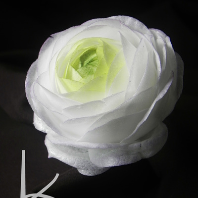 Wafer Paper Ranunculus Tutorial on Cake Central