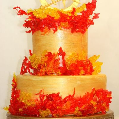 Hunger Games Inspiration Challenge Winner on Cake Central