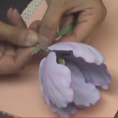 Gumpaste Tulip Tutorial - Make Holland, Turkish and Parrot Tulips on Cake Central